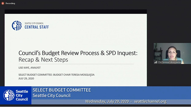 Select Budget Committee Session II 7/29/20