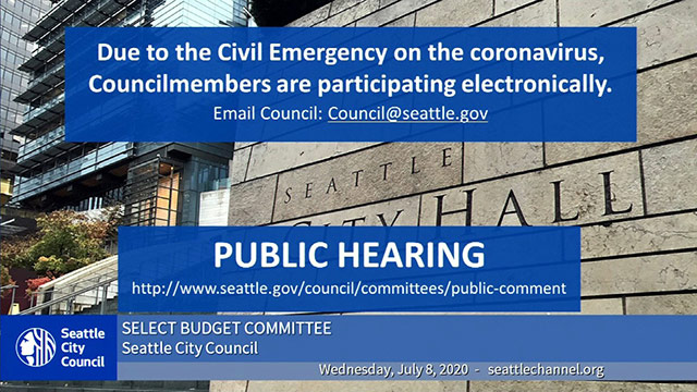 Select Budget Committee Public Hearing 7/8/20