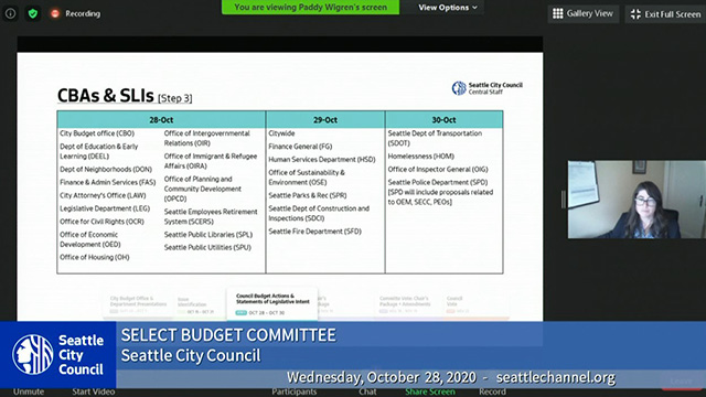 Select Budget Committee Session I 10/28/20