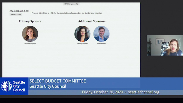 Select Budget Committee Session II 10/30/20