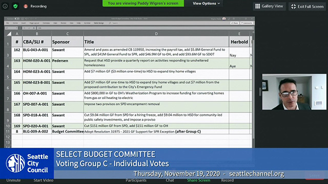 Select Budget Committee 11/19/20