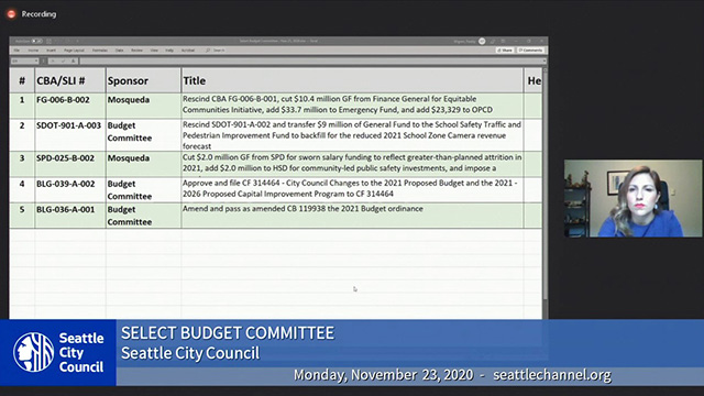 Select Budget Committee 11/23/20