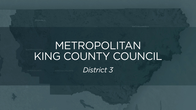 King County Council District No. 3 