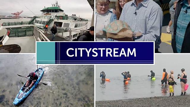 CityStream: The Puget Sound and our connections to the water on Explore Videos Page CityStream: The Puget Sound and our connections to the water