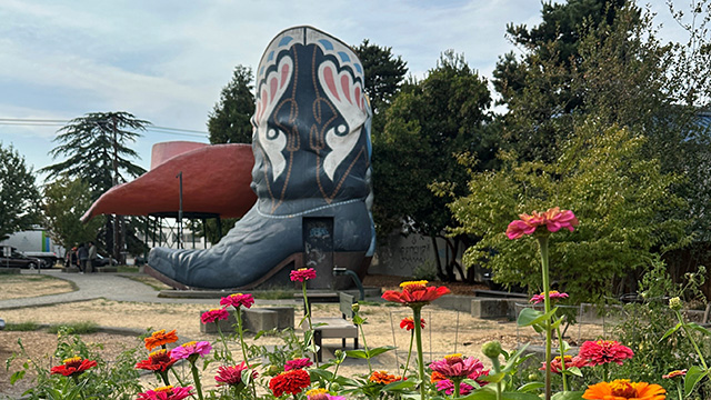 CityStream: Second Chances on Explore Videos Page CityStream: Second Chances