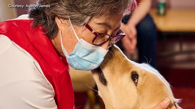 When healing comes with a wagging tail